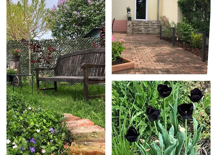 Apartment 4 Sterne , 65 Qm Quedlinburg